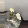 plant/RBR44 Alocasia Frydek Variegated-0-thumbnail