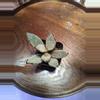 plant/Kalanchoe Tomentosa "Panda Plant"-0-thumbnail