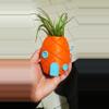 plant/🍍Planter-0-thumbnail