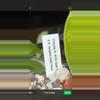 plant/Anthurium with cat nibbles-1-thumbnail