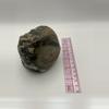 plant/Mcdermitt Agate - Opalized - Polished - 1lb 6.80oz-3-thumbnail