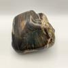 plant/Hampton Butte Petrified Wood - Agatized & Opalized - Polished - 2lbs 8.80oz-0-thumbnail