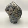 plant/Opalized Dino Bone - Polished - 1lb 14.70oz-2-thumbnail