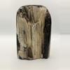 plant/Stinking Water Oak Petrified Wood - Agatized - Polished - 2lbs 1.10oz-1-thumbnail