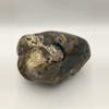 plant/Hampton Butte Petrified Wood - Agatized & Opalized - Polished - 2lbs 8.80oz-1-thumbnail