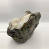 plant/Mcdermitt Agate - Opalized with Quartzite - Polished - 4lbs 10.30oz-1-thumbnail