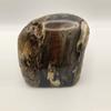 plant/Hampton Butte Petrified Wood - Agatized & Opalized - 3lbs-0-thumbnail