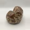 plant/Richardson’s Ranch Thunderegg - Opalized - Polished - 1lb 2oz-1-thumbnail