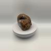 plant/Richardson’s Ranch Thunderegg - Opalized - Polished - 1lb 2oz-4-thumbnail