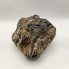 plant/Hampton Butte Petrified Wood - Agatized & Opalized - Polished - 2lbs 8.80oz-2-thumbnail