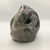 plant/Opalized Dino Bone - Polished - 1lb 14.70oz-0-thumbnail