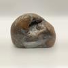 plant/Richardson’s Ranch Thunderegg - Opalized - Polished - 1lb 2oz-0-thumbnail