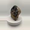 plant/Opalized Dino Bone - Polished - 1lb 14.70oz-4-thumbnail