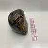 plant/Hampton Butte Petrified Wood - Agatized & Opalized - 3lbs-3-thumbnail