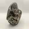 plant/Hampton Butte Petrified Wood - Agatized & Opalized - 1lb 13.85oz-1-thumbnail