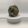 plant/Mcdermitt Agate - Opalized - Polished - 1lb 6.80oz-4-thumbnail