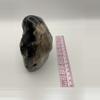 plant/Opalized Dino Bone - Polished - 1lb 14.70oz-3-thumbnail