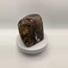 plant/Hampton Butte Petrified Wood - Agatized & Opalized - 3lbs-4-thumbnail
