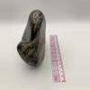 plant/Hampton Butte Petrified Wood - Agatized & Opalized - 1lb 13.85oz-3-thumbnail