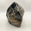plant/Opalized Dino Bone - Polished - 1lb 14.70oz-1-thumbnail
