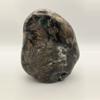 plant/Hampton Butte Petrified Wood - Agatized & Opalized - 1lb 13.85oz-0-thumbnail