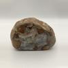 plant/Richardson’s Ranch Thunderegg - Opalized - Polished - 1lb 2oz-2-thumbnail