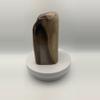plant/Stinking Water Oak Petrified Wood - Agatized - Polished - 2lbs 1.10oz-4-thumbnail