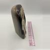 plant/Stinking Water Oak Petrified Wood - Agatized - Polished - 2lbs 1.10oz-3-thumbnail