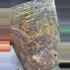 plant/Monstera Aurea borsigiana-2-thumbnail