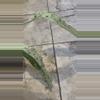 plant/Epi Geganteum Marble-0-thumbnail