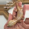 plant/Striped Amel Pet Only AFT Gecko-0-thumbnail