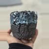 plant/Waterfall 4.25x4H-0-thumbnail