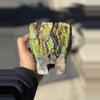 plant/Green Goblin 4.5x5H-0-thumbnail