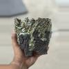 plant/Emerald Square Footed 5x5-0-thumbnail