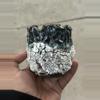 plant/Avalanche 3.25x3.25-0-thumbnail