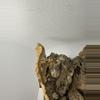plant/Male-2-thumbnail