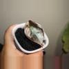 plant/Alocasia Cuprea-0-thumbnail