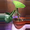 plant/Scindapsus Jade Satin Aurea-1-thumbnail