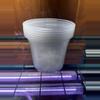plant/6 pack 4” clear pots add on-0-thumbnail