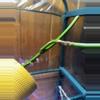 plant/Monstera Esqueletto Rooted Node with grow point-1-thumbnail