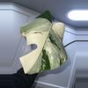 plant/Monstera Albo-3-thumbnail