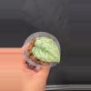 plant/Scindapsus Peasun rooted cutting B-0-thumbnail