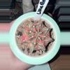 plant/Little Rabbit Clone-0-thumbnail