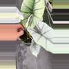 plant/Albo platinum-0-thumbnail