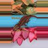 plant/Red and orange stripe Gargoyle-2-thumbnail