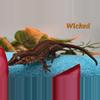 plant/Red and orange stripe Gargoyle-1-thumbnail