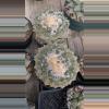 plant/SEEDS Ariocarpus retusus furfuraceous “Super Fat” x fiss “Badzilla” F2 10 seeds-1-thumbnail