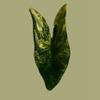 plant/Corm C - Aurea Variegated Alocasia Zebrina-0-thumbnail