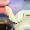 plant/Variegated laniata monstera lightly rooted-1-thumbnail