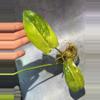 plant/Aquarius philodendron high color-0-thumbnail